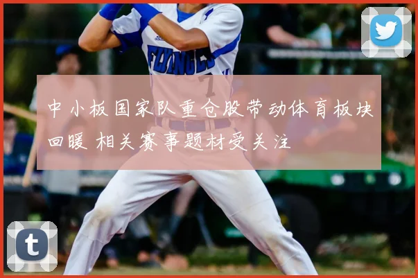 中小板国家队重仓股带动体育板块回暖 相关赛事题材受关注