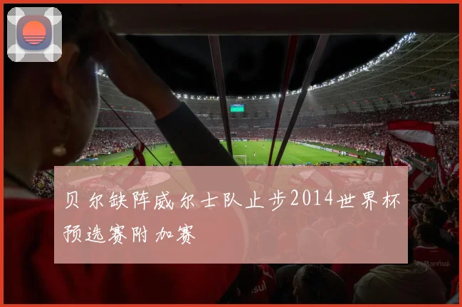贝尔缺阵威尔士队止步2014世界杯预选赛附加赛